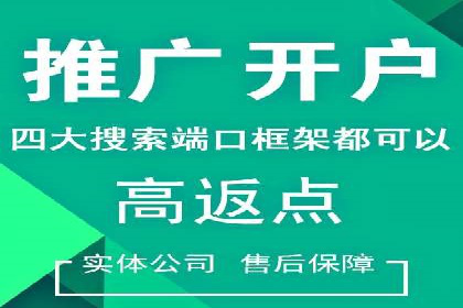 SEM竞价优化技巧分享：成功案例揭秘